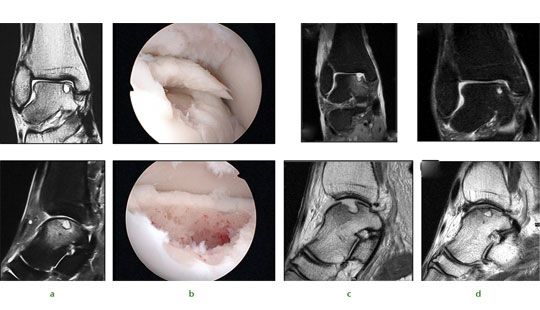 fig3