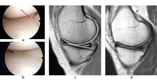 fig5